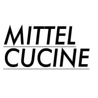 Mittel srl logo, Mittel srl contact details