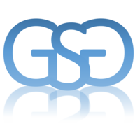 Glasser Security Group LLC logo, Glasser Security Group LLC contact details