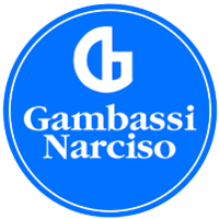 Gambassi Narciso S.r.l logo, Gambassi Narciso S.r.l contact details