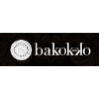 Bakokko Group logo, Bakokko Group contact details