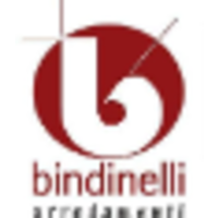 BINDINELLI ARREDAMENTI logo, BINDINELLI ARREDAMENTI contact details