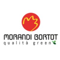 Morandi Bortot srl logo, Morandi Bortot srl contact details