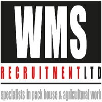 WMS Recruitment Ltd logo, WMS Recruitment Ltd contact details