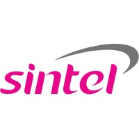 Sintel Group logo, Sintel Group contact details