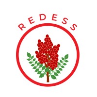 REDESS SRL logo, REDESS SRL contact details