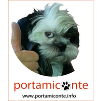 portamiconte logo, portamiconte contact details