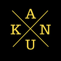 Anyidoho-Kumi Consults, LLC. logo, Anyidoho-Kumi Consults, LLC. contact details