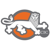 CIC - Cambridge International Consulting PERÚ logo, CIC - Cambridge International Consulting PERÚ contact details