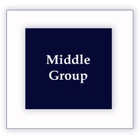 Middle Group Limited logo, Middle Group Limited contact details