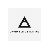 David Elite Staffing logo, David Elite Staffing contact details