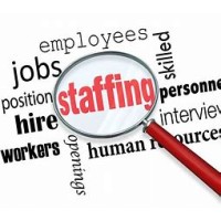 Spinello Staffing logo, Spinello Staffing contact details