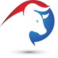 Bull Staffing Co logo, Bull Staffing Co contact details