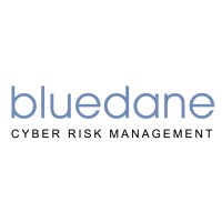 BlueDane Cyber Risk Mitigation & Compliance logo, BlueDane Cyber Risk Mitigation & Compliance contact details