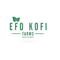 Efo Kofi Farms logo, Efo Kofi Farms contact details