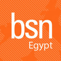 Business School Netherlands International MBA - Egypt logo, Business School Netherlands International MBA - Egypt contact details