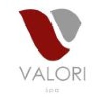 VALORI SpA - Agenzia per il Lavoro logo, VALORI SpA - Agenzia per il Lavoro contact details