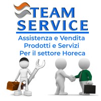 Team Service Srl logo, Team Service Srl contact details