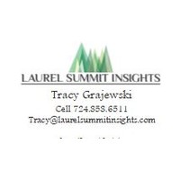 Laurel Summit Insights, LLC logo, Laurel Summit Insights, LLC contact details