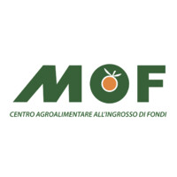 MOF SpA logo, MOF SpA contact details