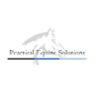 Practical Equine Solutions logo, Practical Equine Solutions contact details