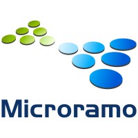 Microramo S.r.l. logo, Microramo S.r.l. contact details