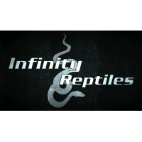 Infinity Reptiles logo, Infinity Reptiles contact details