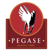 Pegase Bvs logo, Pegase Bvs contact details