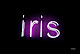 Iris logo, Iris contact details