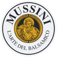 MUSSINI srl logo, MUSSINI srl contact details