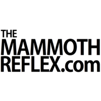 The Mammoth's Reflex logo, The Mammoth's Reflex contact details