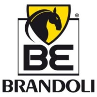 Brandoli Egidio srl logo, Brandoli Egidio srl contact details