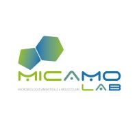 MICAMO Lab logo, MICAMO Lab contact details