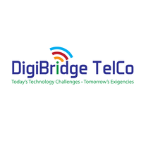 DigiBridge Telecoms Consulting, LLC logo, DigiBridge Telecoms Consulting, LLC contact details