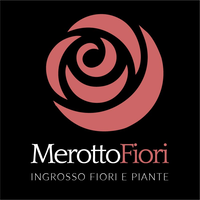 Merotto Fiori logo, Merotto Fiori contact details