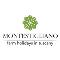 Montestigliano, antico borgo nel cuore della Toscana logo, Montestigliano, antico borgo nel cuore della Toscana contact details