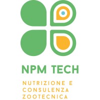 Npm Tech Srl logo, Npm Tech Srl contact details