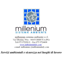 MILLENIUM Sistema Ambiente srl logo, MILLENIUM Sistema Ambiente srl contact details