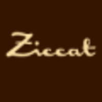 ZICCAT srl logo, ZICCAT srl contact details