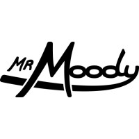 MR MOODY Srl logo, MR MOODY Srl contact details