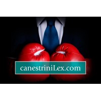 CanestriniLex Law firm Italy logo, CanestriniLex Law firm Italy contact details