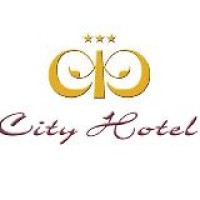 City Hotel Casoria logo, City Hotel Casoria contact details