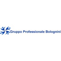 Gruppo professionale Bolognini logo, Gruppo professionale Bolognini contact details