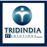 TridIndia IT Solutions logo, TridIndia IT Solutions contact details