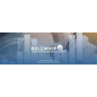 Bullwhip, Management of Integrated Project controls logo, Bullwhip, Management of Integrated Project controls contact details