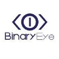 BinaryEye LLC logo, BinaryEye LLC contact details