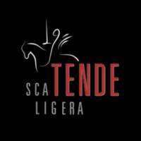 SCALIGERA TENDE SRL logo, SCALIGERA TENDE SRL contact details