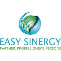 EASY SINERGY SRLS logo, EASY SINERGY SRLS contact details