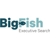 BigFish Executive Search logo, BigFish Executive Search contact details