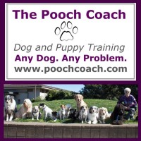 The Pooch Coach logo, The Pooch Coach contact details