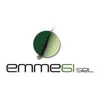 EMMEGI Srl logo, EMMEGI Srl contact details